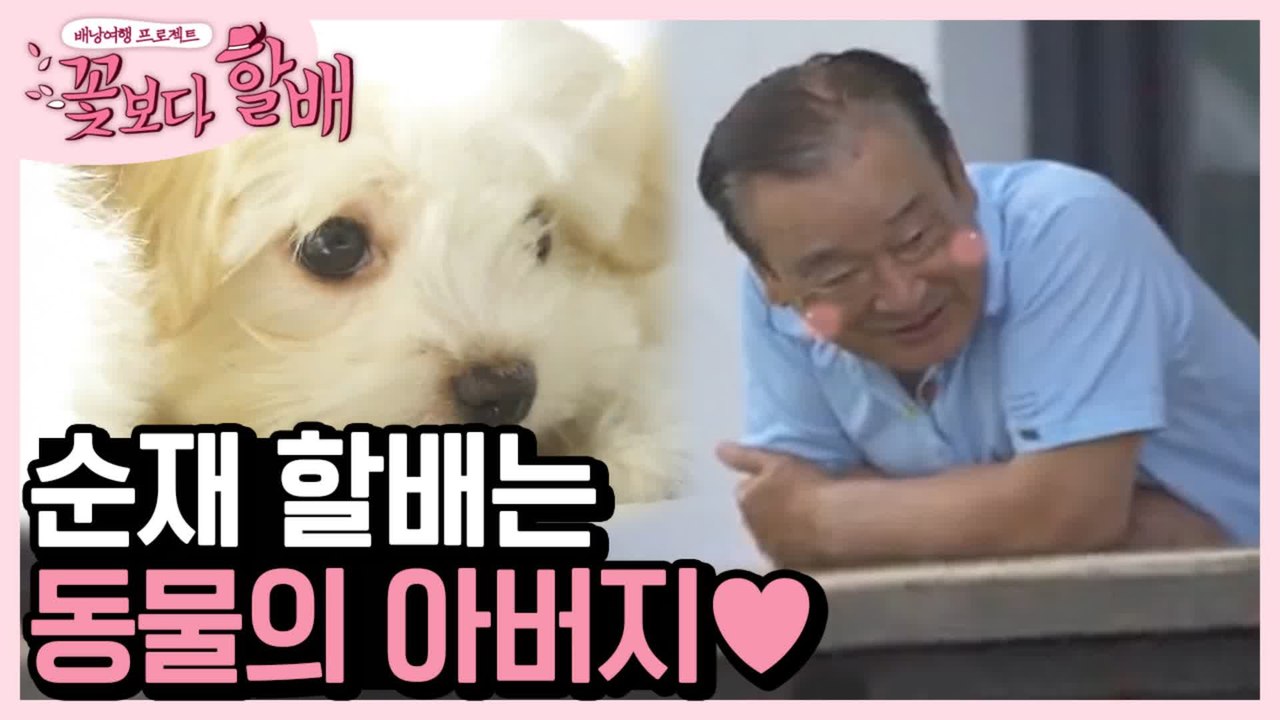 이런 할배 또 없습니다..♡ 소녀갬성 낭낭한 순재 할배, 최소 동물의 아버지 | #깜...