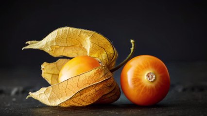 What are Ground Cherries?