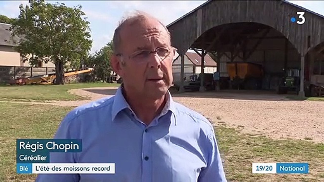 Agriculture : la moisson de blé est excellente