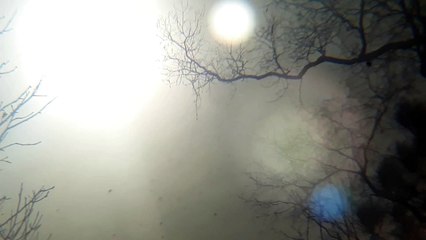 Whats coming towards earth in the sky Second Sun Binary STAR