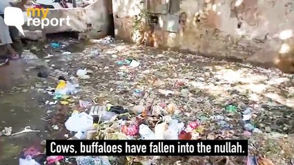 My Report: Filthy Drain Near My House has Become a Source of Disease