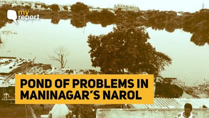 My Report: Pond in my Ahmedabad Locality is a Bane, But No One is Listening
