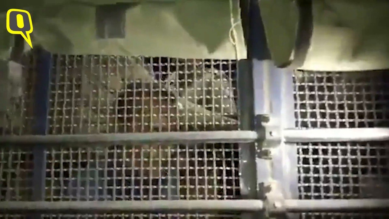 I Pray She Recovers: Accused Kuldeep Sengar on Unnao Rape Survivor