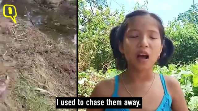 9-Year-Old Manipur Girl Named Green Ambassador by CM N Biren Singh