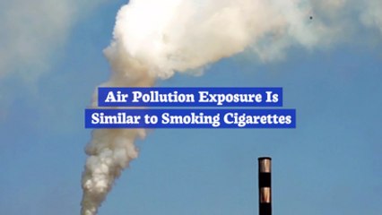 Air Pollution Will Destroy Your Lungs