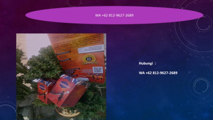 TERBAIK, WA +62 812-9627-2689 Jual BRITISH PROPOLIS Bukittinggi