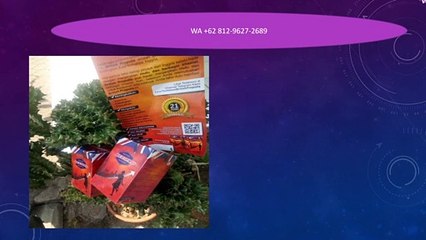 TERMURAH, WA +62 812-9627-2689 Jual BRITISH PROPOLIS Padang