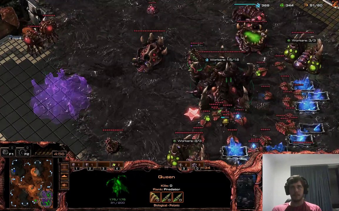 Zerg Vs Protoss win Platinum Elo