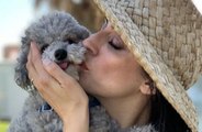 Elisa Isoardi: 'Il mio cane Zenit mi ha salvata'