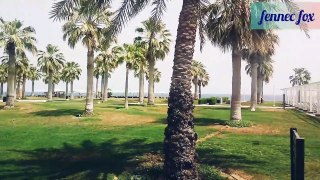 Qatar sealine beach resort