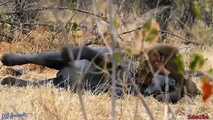 장유출장안마 -후불100%ョØ1ØM2997M5327｛카톡WD777｝ 장유전지역출장안마 장유오피걸 장유출장마사지 장유출장안마 장유출장마사지 장유콜걸샵안마 장유출장아로마 장유출장안마후기㍔た◀장유출장샵