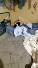 So much more special when you can't see