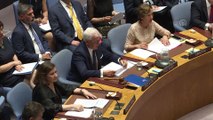 ABD Dışişleri Bakanı Mike Pompeo BM Güvenlik Konseyi'nde (1) - BİRLEŞMİŞ MİLLETLER