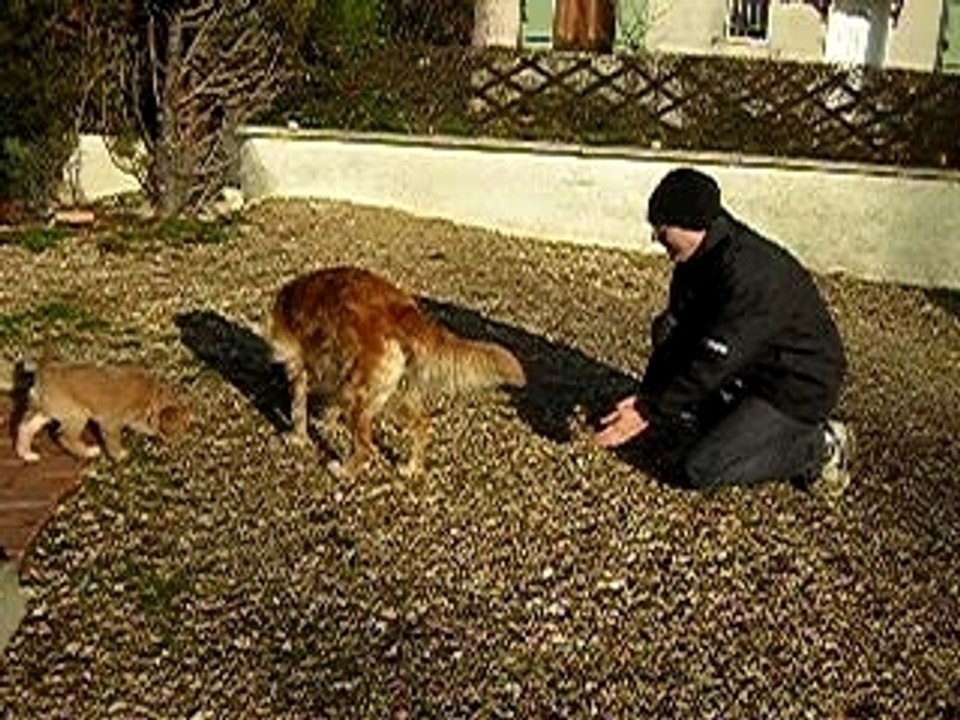 DSCN5181