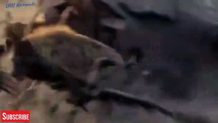 함안출장안마 -후불100%ョØ7ØE7575E0062｛카톡DK654｝ 함안전지역출장안마 함안오피걸 함안출장마사지 함안출장안마 함안출장마사지 함안콜걸샵안마 함안출장아로마 함안출장안마후기べ∭∑함안출장풀코스예약