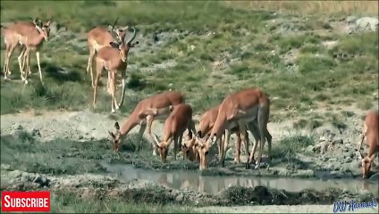 건대역출장안마 -후불100%ョØ7ØE7575E0069｛카톡RD654｝ 건대역전지역출장안마 건대역오피걸 건대역출장마사지 건대역출장안마 건대역출장마사지 건대역콜걸샵안마 건대역출장아로마 건대역출장안마후기⻜⾺⻕건대역출장샵