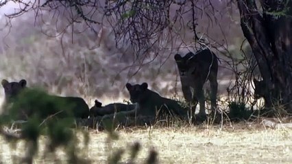 남구출장안마 -후불100%ョO7OW5222W7802｛카톡VV23} 남구전지역출장안마 남구오피걸 남구출장마사지 남구출장안마 남구출장마사지 남구콜걸샵안마 남구출장아로마 남구출장안마후기◞√ご남구출장샵