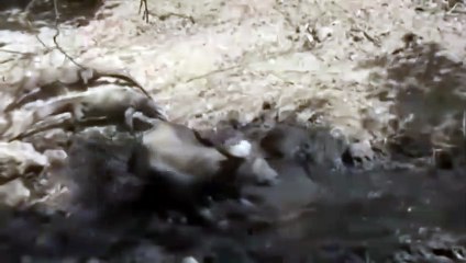 당진출장안마 -후불100%ョOiOE2997E5327｛카톡WD777｝ 당진전지역출장안마 당진오피걸 당진출장마사지 당진출장안마 당진출장마사지 당진콜걸샵안마 당진출장아로마 당진출장안마후기≔ひ㌻당진출장샵