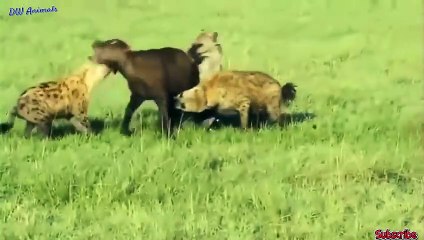 영도출장안마 -후불100%ョØ7ØE7575E0069｛카톡RD654｝ 영도전지역출장안마 영도오피걸 영도출장마사지 영도출장안마 영도출장마사지 영도콜걸샵안마 영도출장아로마 영도출장안마후기∶も◆영도출장샵