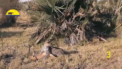 당진출장안마 -후불100%ョOiOE2997E5327｛카톡QR091｝ 당진전지역출장안마 당진오피걸 당진출장마사지 당진출장안마 당진출장마사지 당진콜걸샵안마 당진출장아로마 당진출장안마후기⻟ぉみ당진출장풀코스예약