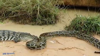 영등포출장안마 -후불100%ョØ1ØM2997M5327｛카톡KC789｝ 영등포전지역출장안마 영등포오피걸 영등포출장마사지 영등포출장안마 영등포출장마사지 영등포콜걸샵안마 영등포출장아로마 영등포출장안마후기や⾮≗영등포출장풀코스예약