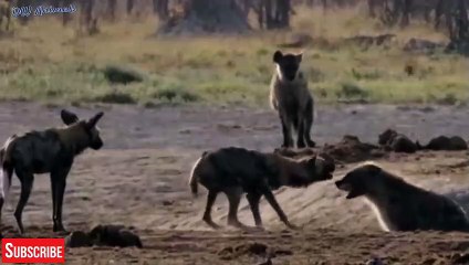 남구출장안마 -후불100%ョØ1ØM7685M6221｛카톡USA51｝ 남구전지역출장안마 남구오피걸 남구출장마사지 남구출장안마 남구출장마사지 남구콜걸샵안마 남구출장아로마 남구출장안마후기⊊∐∱남구출장풀코스예약