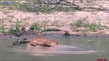 북구출장안마 -후불100%ョO7OV5222V6739｛카톡CS69｝ 북구전지역출장안마 북구오피걸 북구출장마사지 북구출장안마 북구출장마사지 북구콜걸샵안마 북구출장아로마 북구출장안마후기㌨え⊃북구출장샵마사지