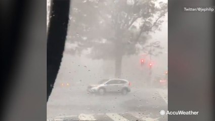 Storm sets mad umbrella on the loose