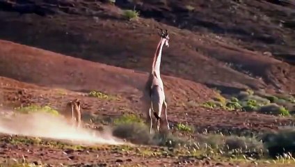 강화출장안마 -후불100%ョØ7ØM7575M0069｛카톡CC6969｝ 강화전지역출장안마 강화오피걸 강화출장마사지 강화출장안마 강화출장마사지 강화콜걸샵안마 강화출장아로마 강화출장안마후기と∤ゃ강화출장풀코스예약