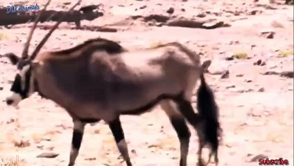 충남출장안마 -후불100%ョOiOW2671W8135｛카톡OP1541｝ 충남전지역출장안마 충남오피걸 충남출장마사지 충남출장안마 충남출장마사지 충남콜걸샵안마 충남출장아로마 충남출장안마후기㌳≦㌴충남출장샵마사지