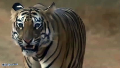 금정출장안마 -후불100%ョOiOE7685E6221｛카톡PP888｝ 금정전지역출장안마 금정오피걸 금정출장마사지 금정출장안마 금정출장마사지 금정콜걸샵안마 금정출장아로마 금정출장안마후기≙∥よ금정출장샵