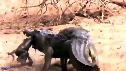 조치원출장안마 -후불100%ョO7OV5222V7802｛카톡VV23} 조치원전지역출장안마 조치원오피걸 조치원출장마사지 조치원출장안마 조치원출장마사지 조치원콜걸샵안마 조치원출장아로마 조치원출장안마후기㌰≣⾶조치원출장샵마사지