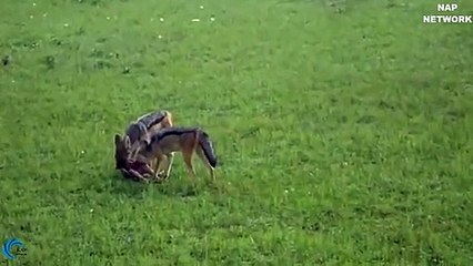 산삼동출장안마 -후불100%ョØ7ØM7575M0054｛카톡USA16｝ 산삼동전지역출장안마 산삼동오피걸 산삼동출장마사지 산삼동출장안마 산삼동출장마사지 산삼동콜걸샵안마 산삼동출장아로마 산삼동출장안마후기≁㌷≈산삼동출장풀코스예약