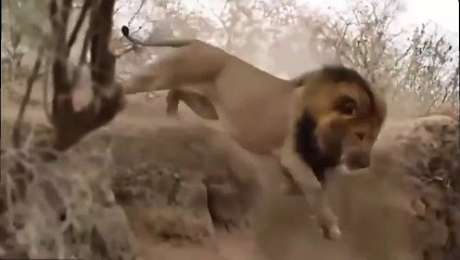 태종대출장안마 -후불100%ョØ1ØM7685M6221｛카톡USA51｝ 태종대전지역출장안마 태종대오피걸 태종대출장마사지 태종대출장안마 태종대출장마사지 태종대콜걸샵안마 태종대출장아로마 태종대출장안마후기≟㌎⻝태종대출장샵