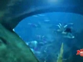 Club Crazy Frog - Pop corn (NRJ-DVB 16x9 by Jiule)