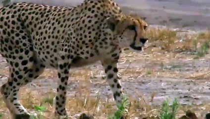 동구출장안마 -후불100%ョØ7ØM7575M0069｛카톡CC6969｝ 동구전지역출장안마 동구오피걸 동구출장마사지 동구출장안마 동구출장마사지 동구콜걸샵안마 동구출장아로마 동구출장안마후기⾩≖㌮동구출장샵마사지