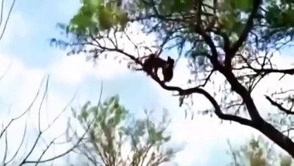 수완지구출장안마 -후불100%ョØ1ØM2997M5327｛카톡WD777｝ 수완지구전지역출장안마 수완지구오피걸 수완지구출장마사지 수완지구출장안마 수완지구출장마사지 수완지구콜걸샵안마 수완지구출장아로마 수완지구출장안마후기∤◆⾩수완지구출장풀코스예약