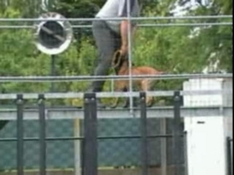 Goja 4,5 Monate/months