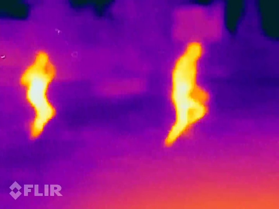 Tarzanie się w śniegu obraz z kamery termowizyjnej. FLIR