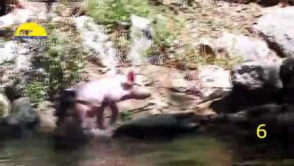 음성출장안마 -후불100%ョO7OV7333V9649｛카톡LA666｝ 음성전지역출장안마 음성오피걸 음성출장마사지 음성출장안마 음성출장마사지 음성콜걸샵안마 음성출장아로마 음성출장안마후기⻞⾬∧음성출장샵
