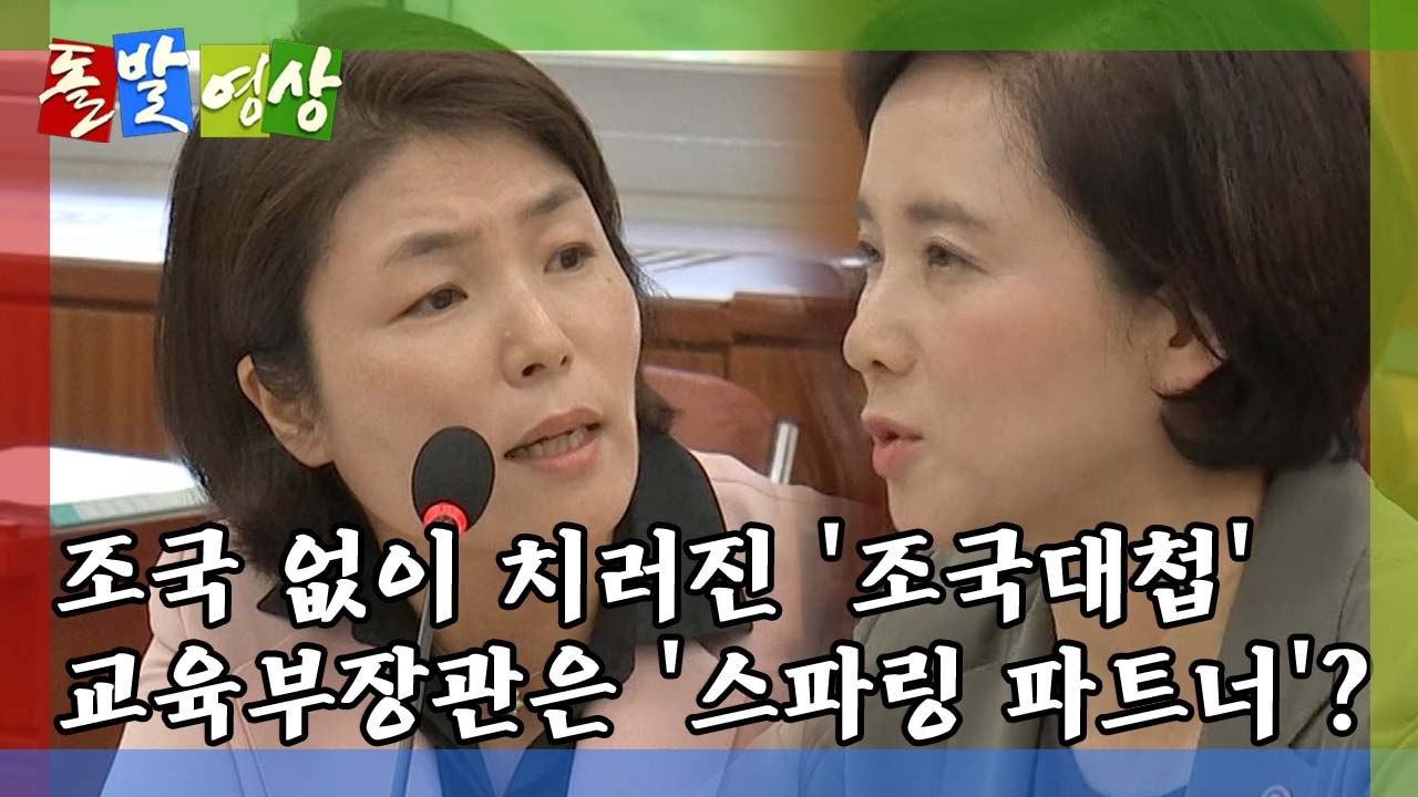 [돌발영상] 미리 보는 조국 청문회 / YTN