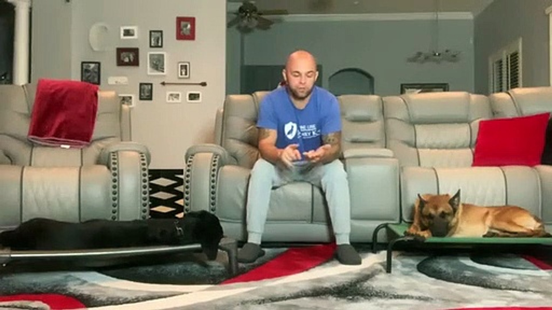 ⁣Dog Board, Dog Obedience Schoo & Dog Training Program Information