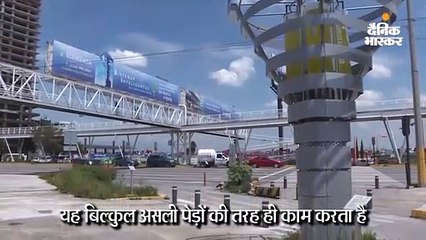 रोजाना 2,890 लोगों के लिए शुद्ध हवा बनाता है यह रोबोटिक पेड़