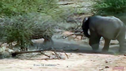 장유출장안마 -후불100%ョOiOE7685E6221｛카톡LTE16｝ 장유전지역출장안마 장유오피걸 장유출장마사지 장유출장안마 장유출장마사지 장유콜걸샵안마 장유출장아로마 장유출장안마후기ぬ⻩◪장유출장샵마사지