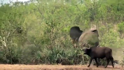 청도출장안마 -후불100%ョØ7ØM7575M0054｛카톡OYO78｝ 청도전지역출장안마 청도오피걸 청도출장마사지 청도출장안마 청도출장마사지 청도콜걸샵안마 청도출장아로마 청도출장안마후기⾱㌙◯청도출장풀코스예약