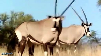 동구출장안마 -후불100%ョØ7ØE7575E0054｛카톡USA16｝ 동구전지역출장안마 동구오피걸 동구출장마사지 동구출장안마 동구출장마사지 동구콜걸샵안마 동구출장아로마 동구출장안마후기≋㌑㌖동구출장풀코스예약