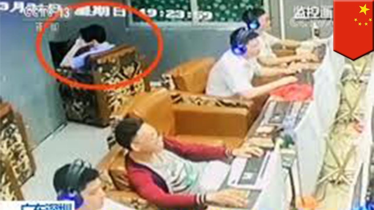 '갈색곰, 종신형 받고 다른 인간죄수들과 함께 복역하고 있는 사정은?'외 3개