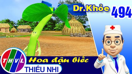 THVL | Dr. Khỏe - Tập 494: Hoa đậu biếc - Phần 2