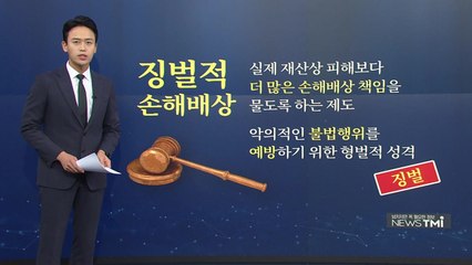 [뉴스TMI] 소비자 기만하는 기업 행태...'징벌적 손해배상제' 강화해야? / YTN