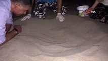 Patara'da yavru caretta carettalar denizle buluşturuldu